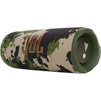 JBL Flip 6